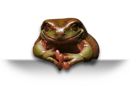 smiling frog